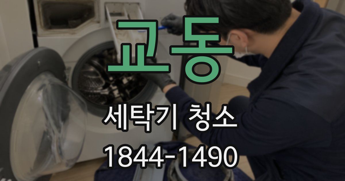 교동 세탁기 청소