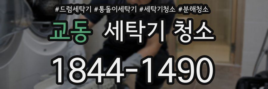 교동 세탁기 청소