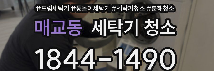 매교동 세탁기 청소