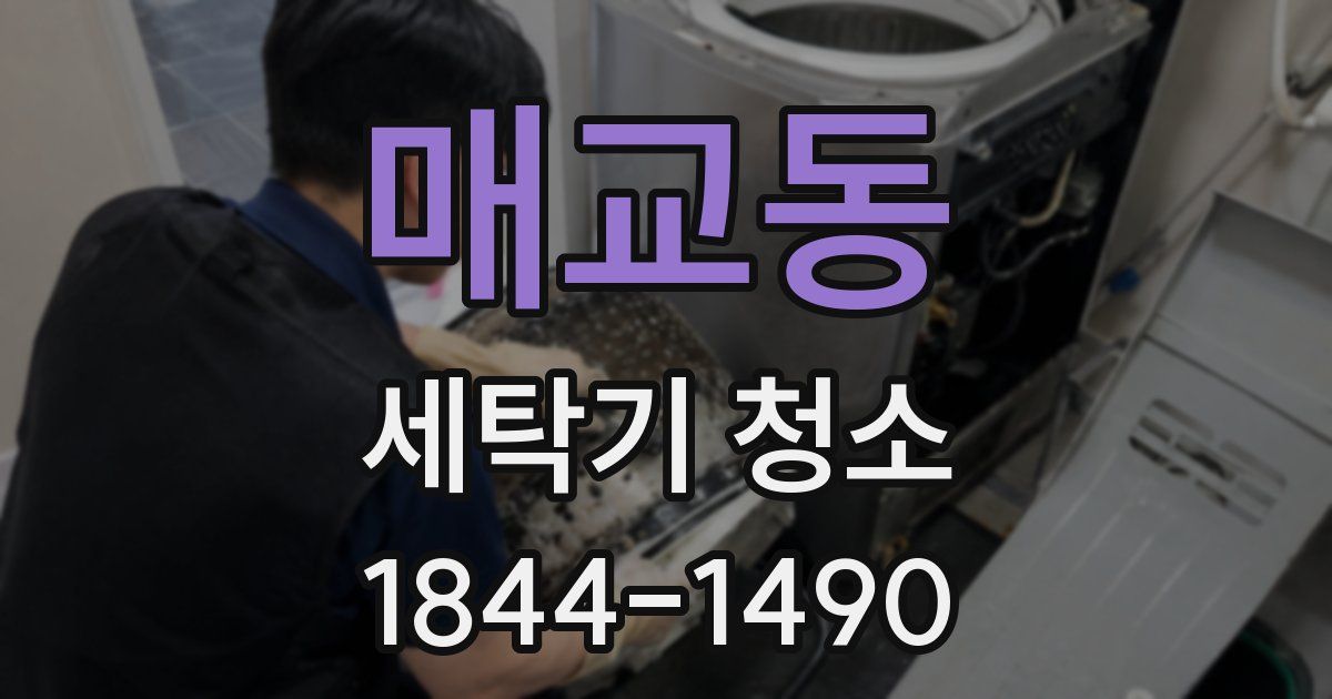 매교동 세탁기 청소