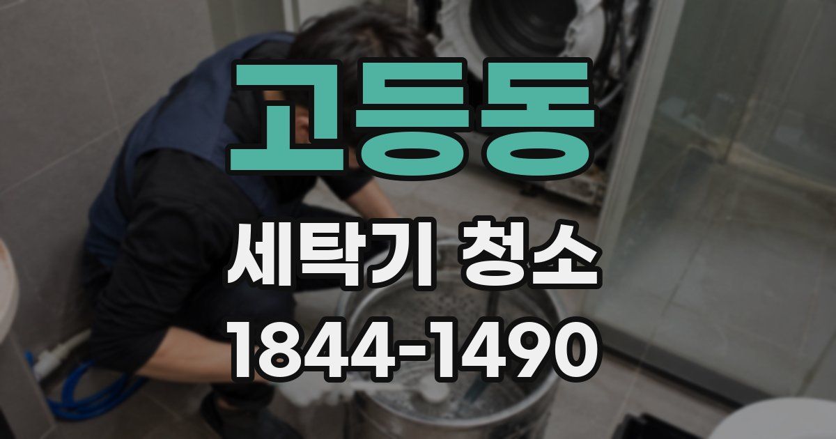 고등동 세탁기 청소