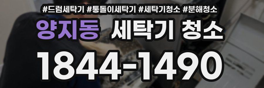 양지동 세탁기 청소