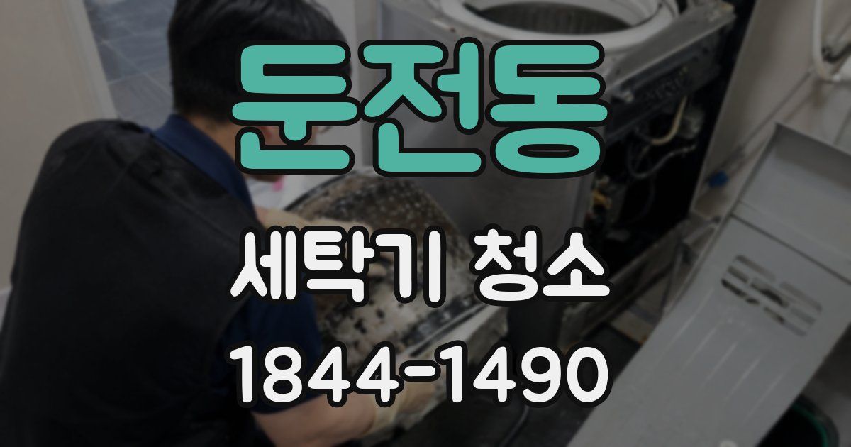 둔전동 세탁기 청소