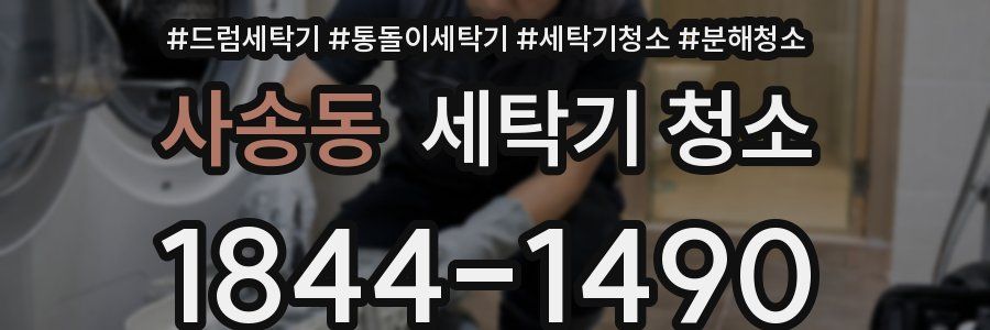 사송동 세탁기 청소