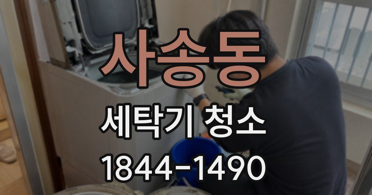 사송동 세탁기 청소