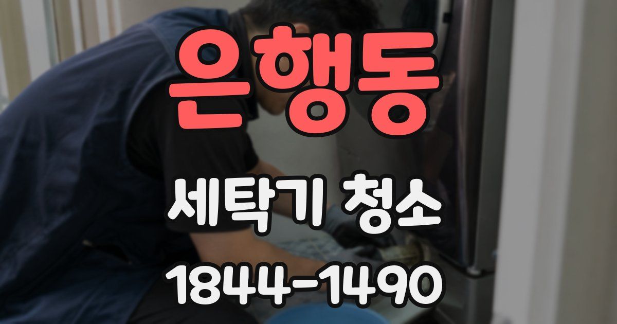 은행동 세탁기 청소