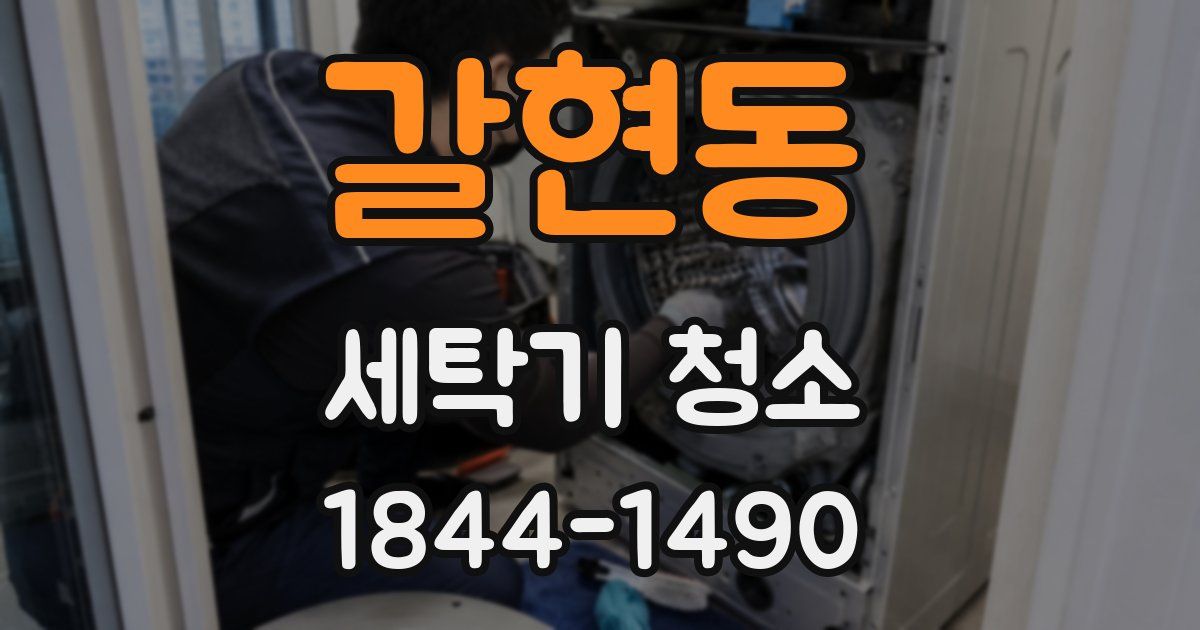 갈현동 세탁기 청소