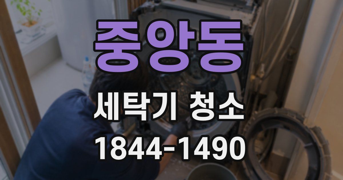중앙동 세탁기 청소