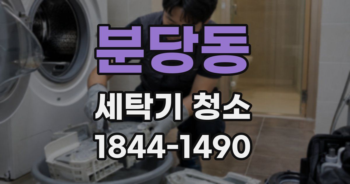 분당동 세탁기 청소