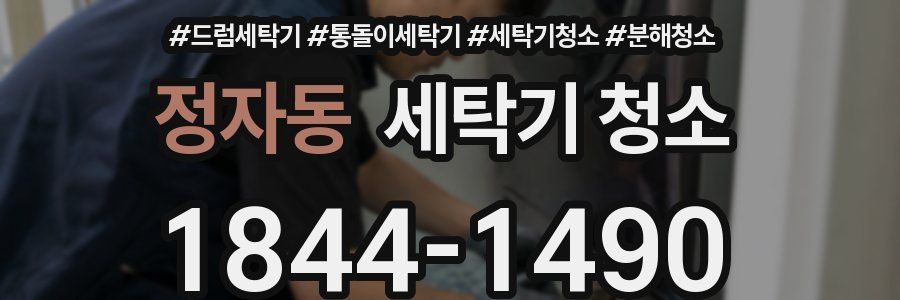 정자동 세탁기 청소