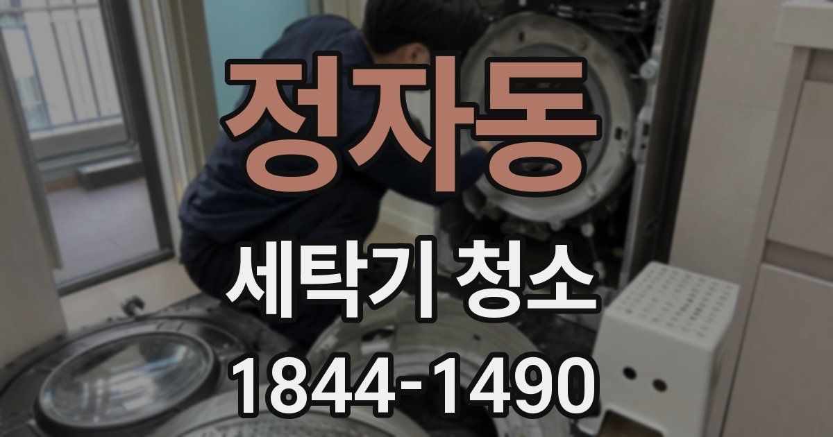 정자동 세탁기 청소