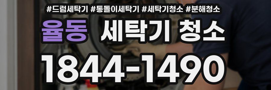 율동 세탁기 청소