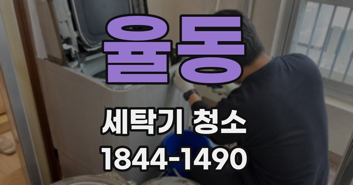 율동 세탁기 청소
