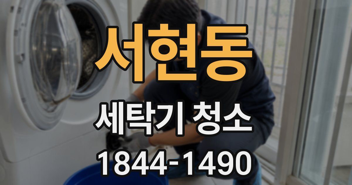 서현동 세탁기 청소