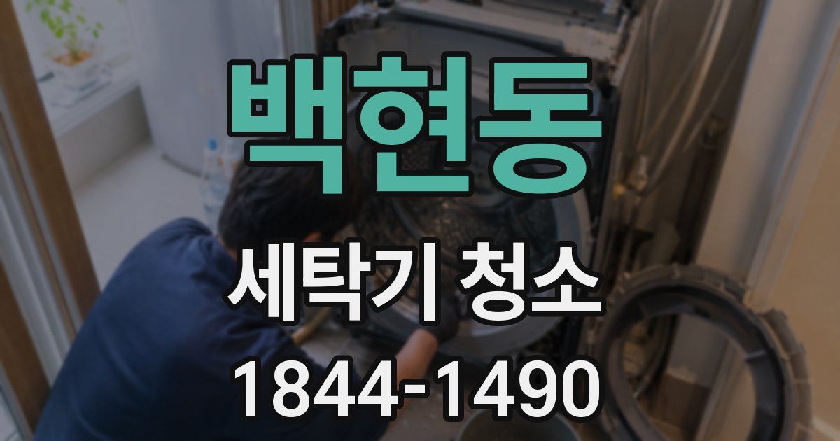 백현동 세탁기 청소