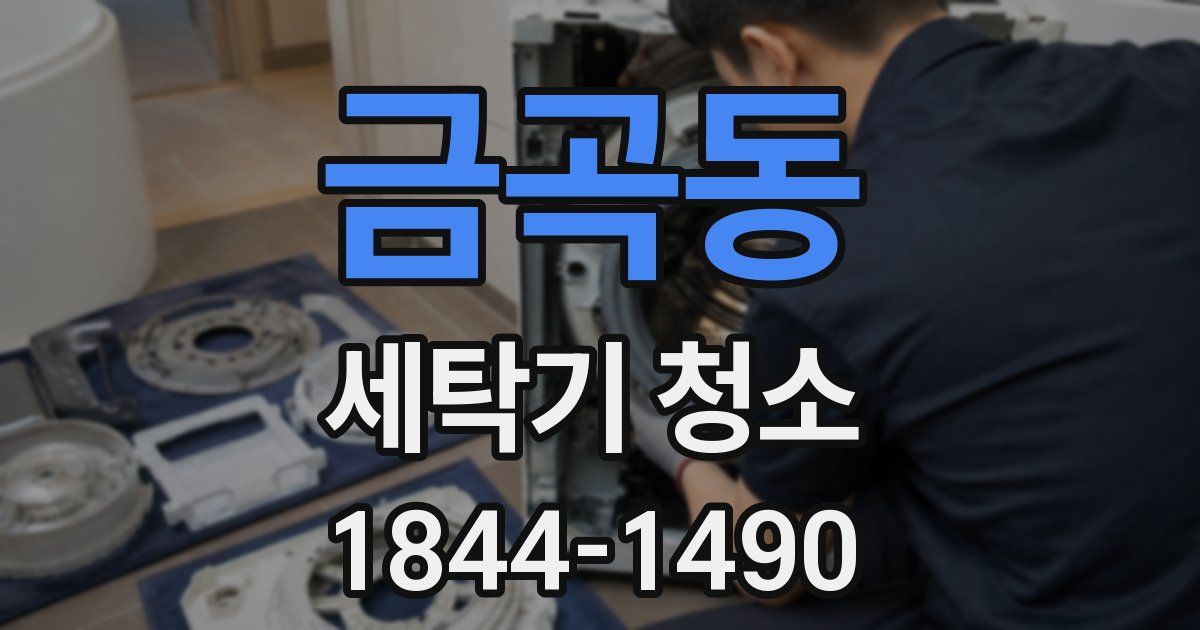 금곡동 세탁기 청소