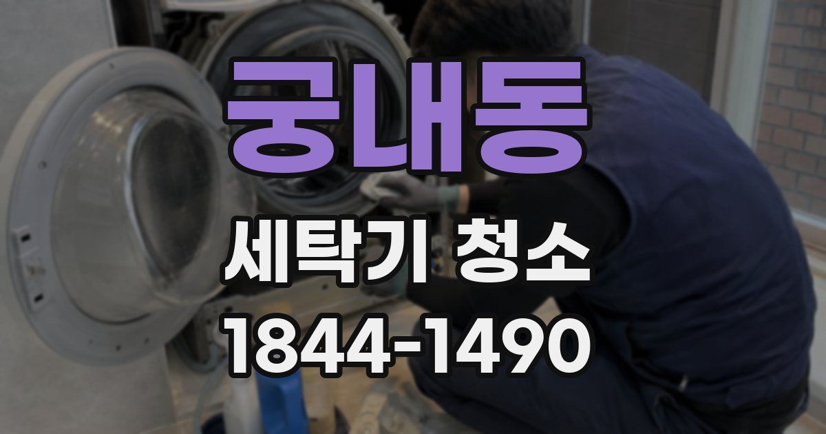 궁내동 세탁기 청소