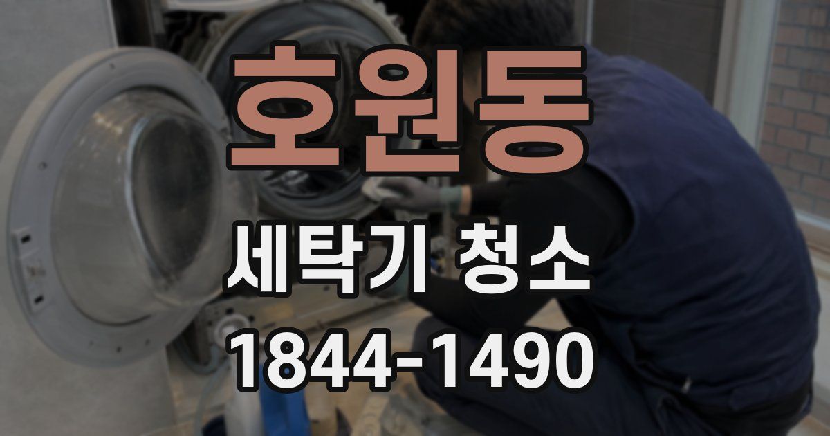 호원동 세탁기 청소