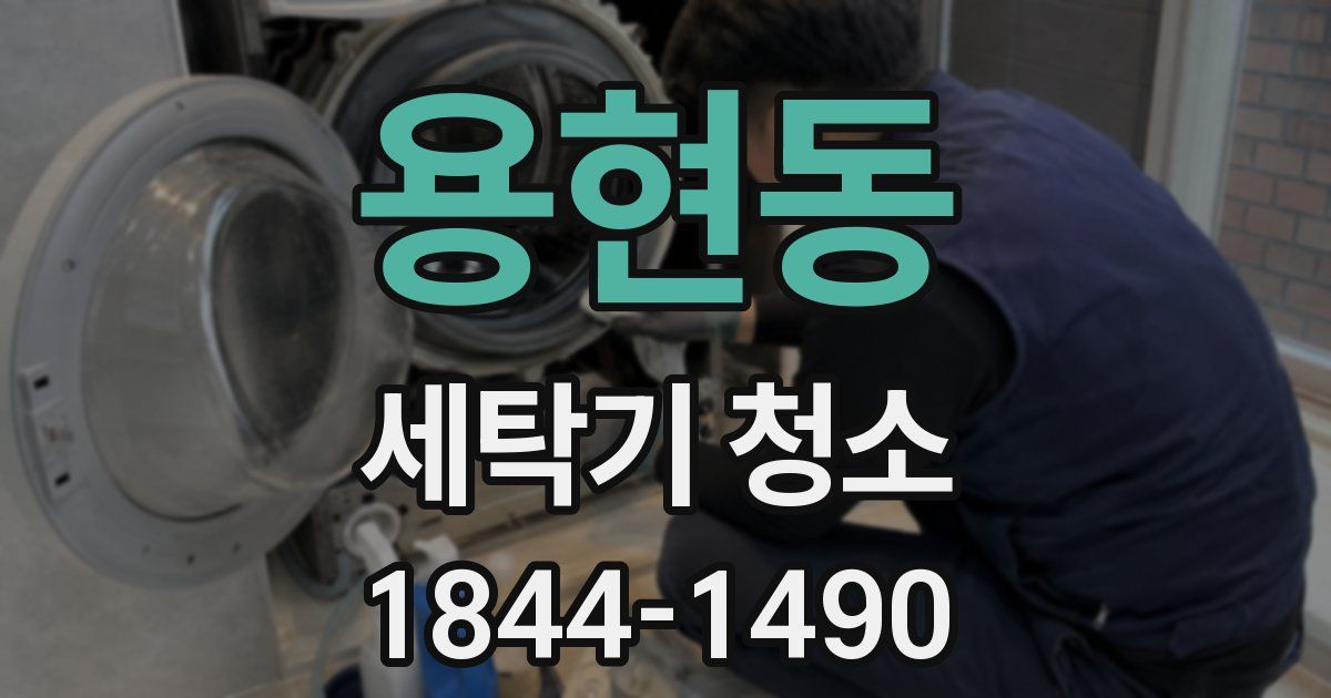 용현동 세탁기 청소