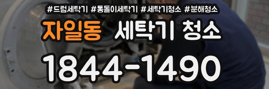 자일동 세탁기 청소