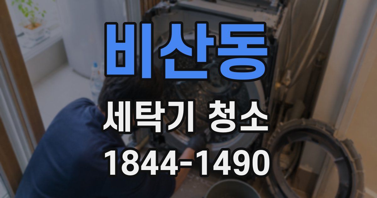 비산동 세탁기 청소