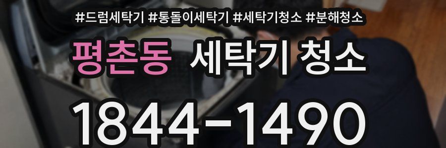 평촌동 세탁기 청소