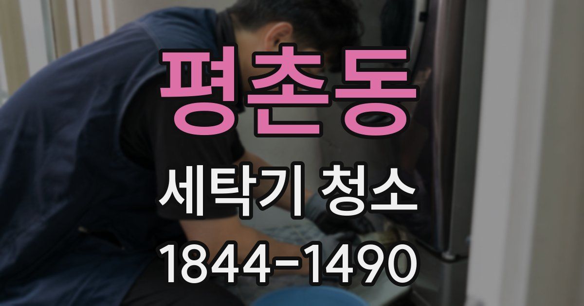 평촌동 세탁기 청소