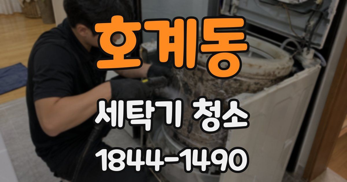 호계동 세탁기 청소