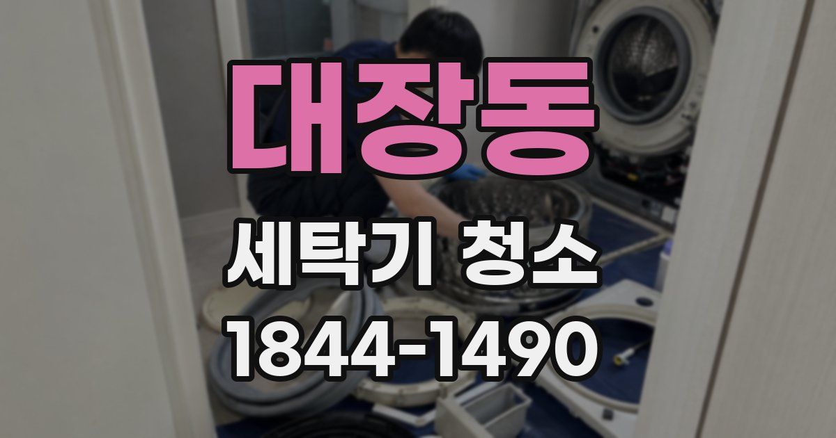 대장동 세탁기 청소