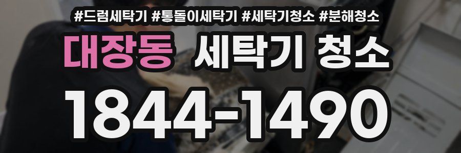 대장동 세탁기 청소
