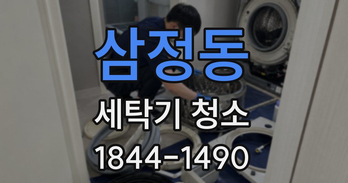 삼정동 세탁기 청소
