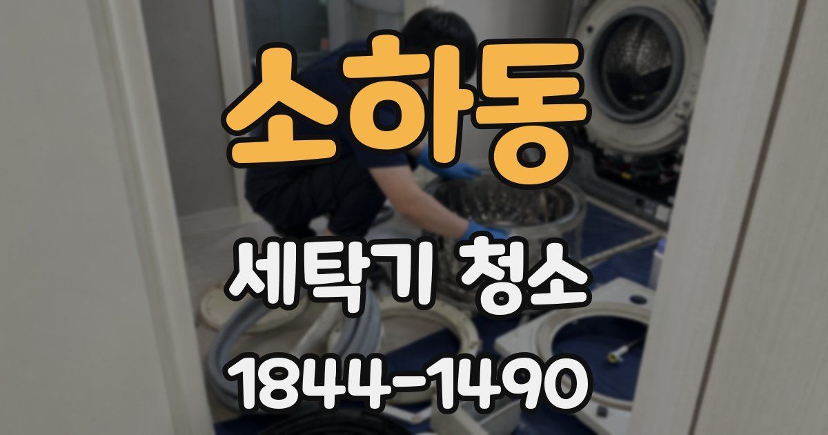 소하동 세탁기 청소