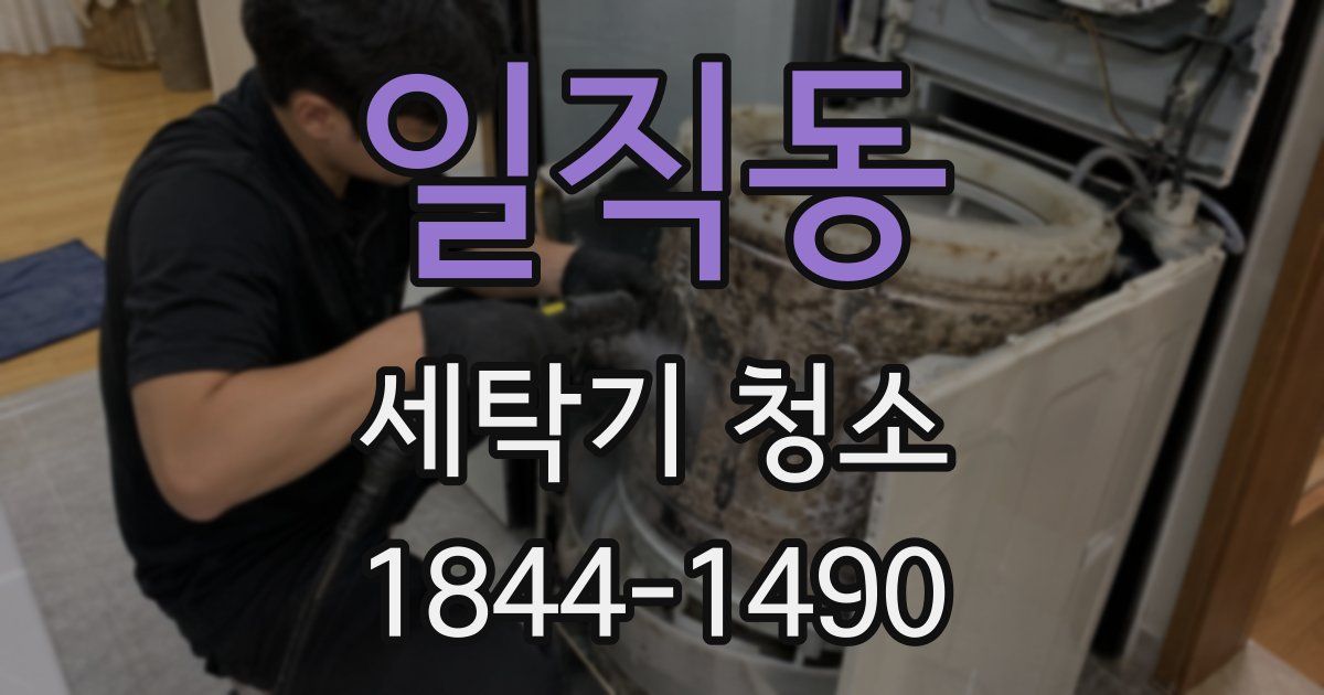 일직동 세탁기 청소
