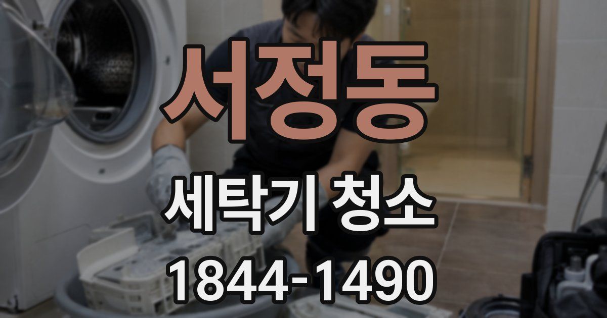 서정동 세탁기 청소