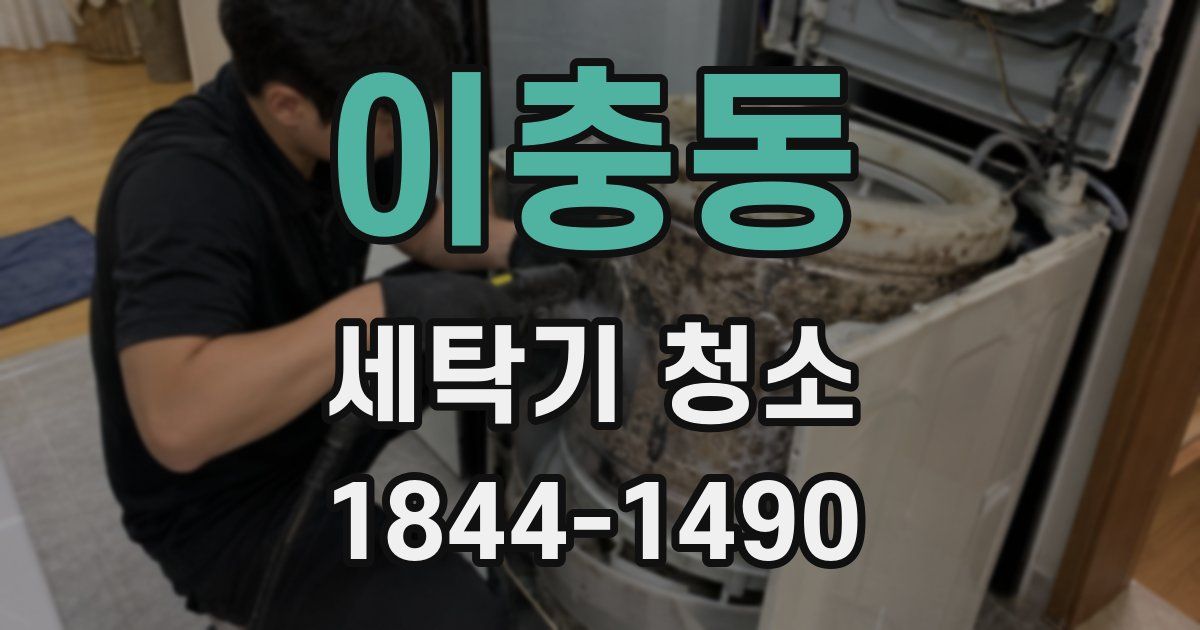 이충동 세탁기 청소
