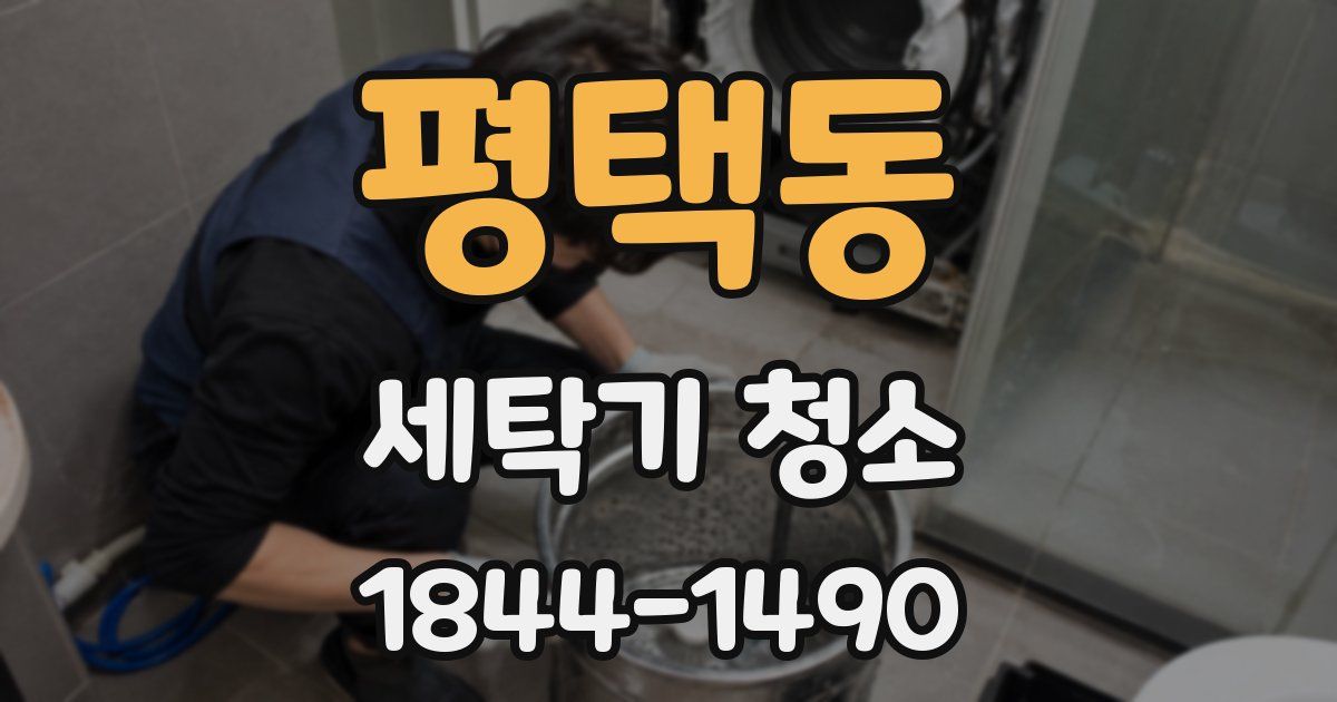 평택동 세탁기 청소