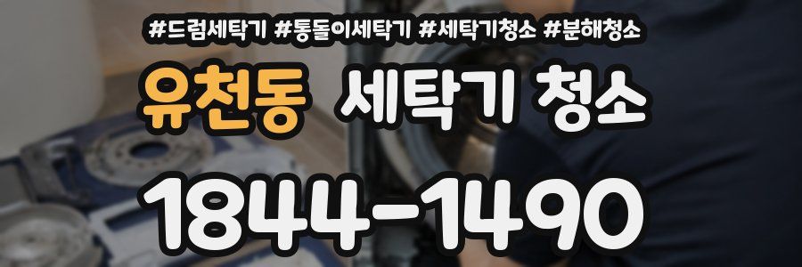 유천동 세탁기 청소