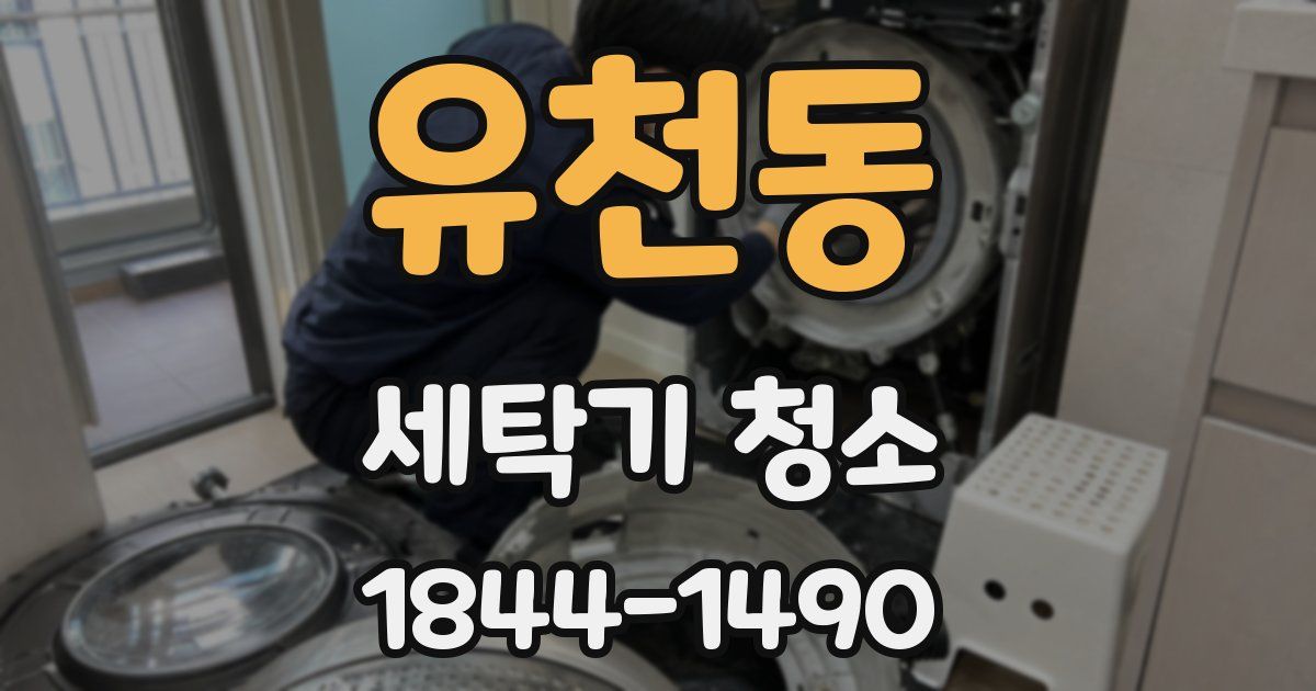 유천동 세탁기 청소
