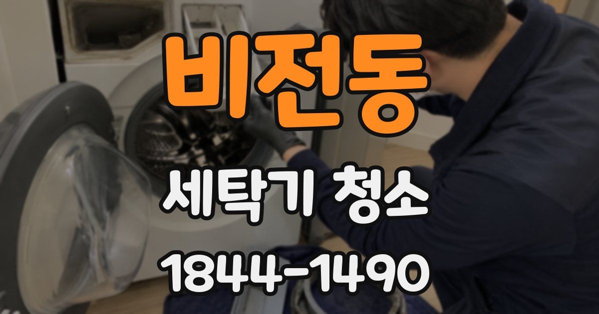 비전동 세탁기 청소