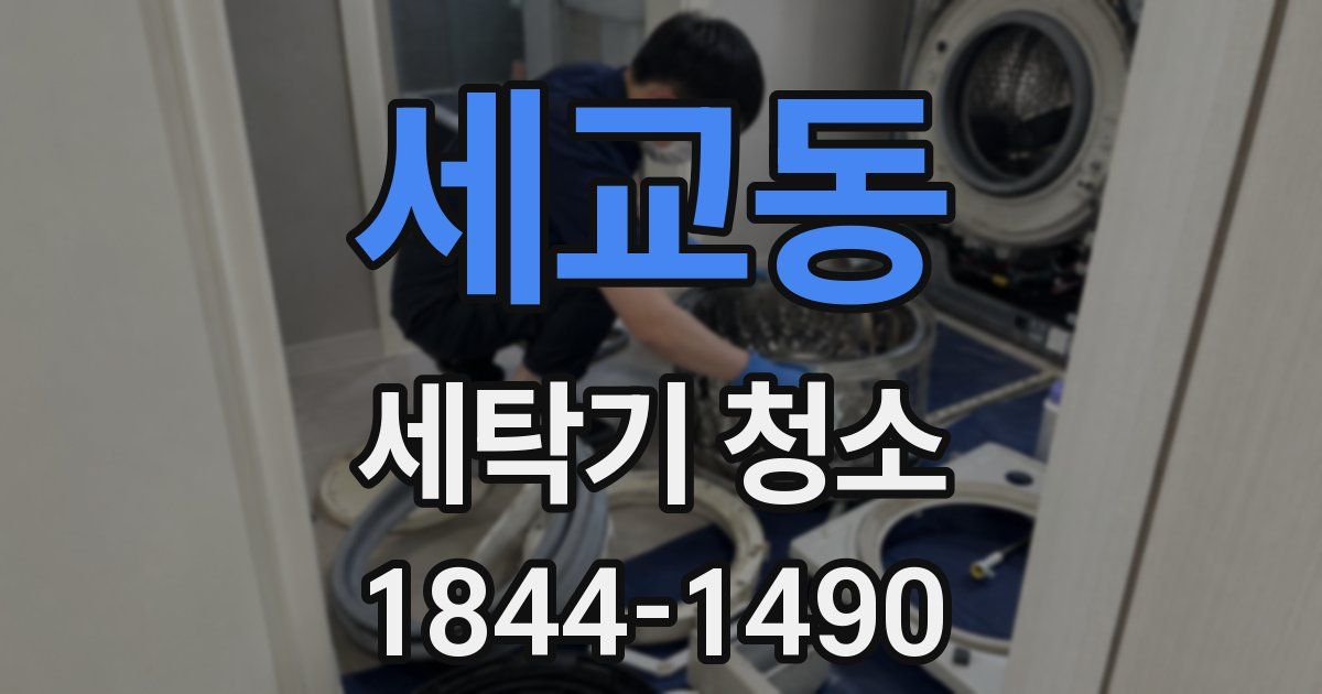 세교동 세탁기 청소