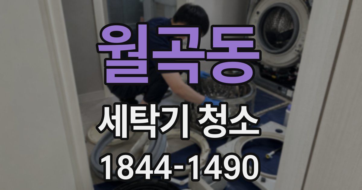 월곡동 세탁기 청소