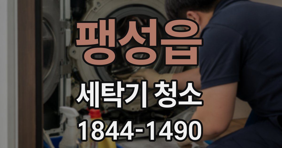 팽성읍 세탁기 청소