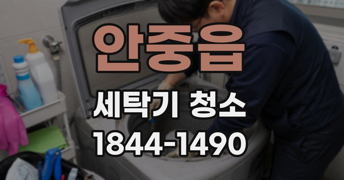 안중읍 세탁기 청소