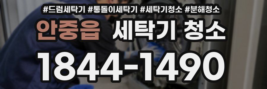안중읍 세탁기 청소