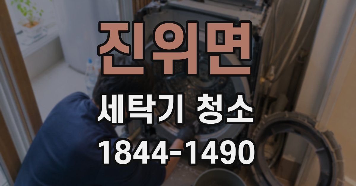 진위면 세탁기 청소