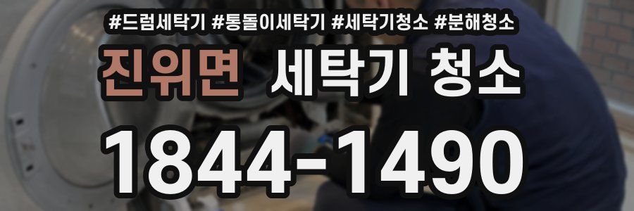 진위면 세탁기 청소