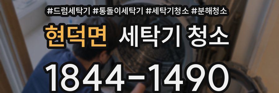 현덕면 세탁기 청소
