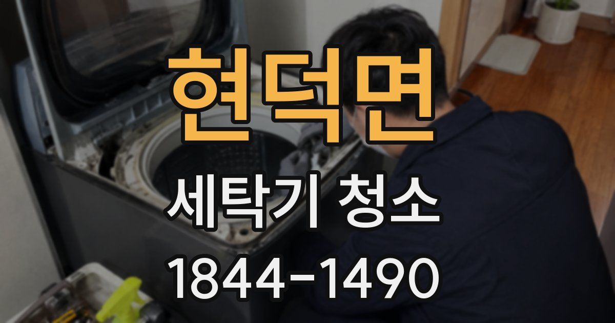 현덕면 세탁기 청소