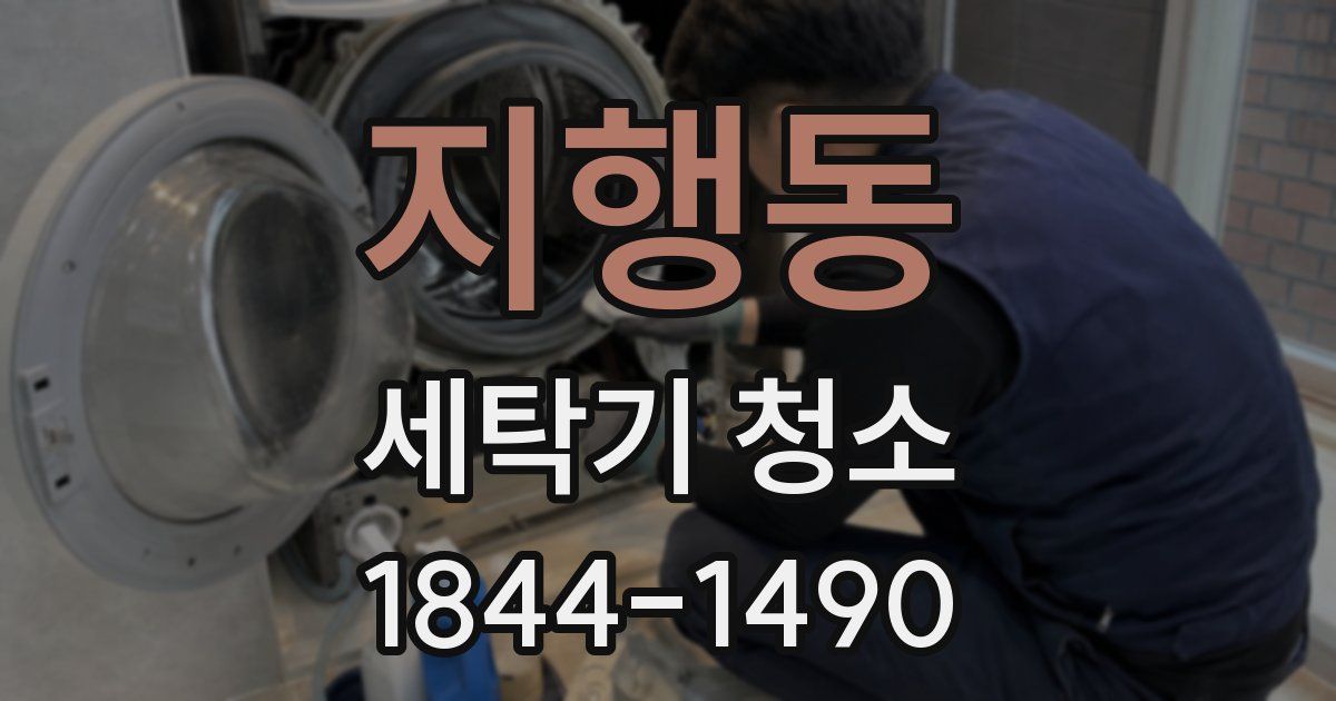 지행동 세탁기 청소