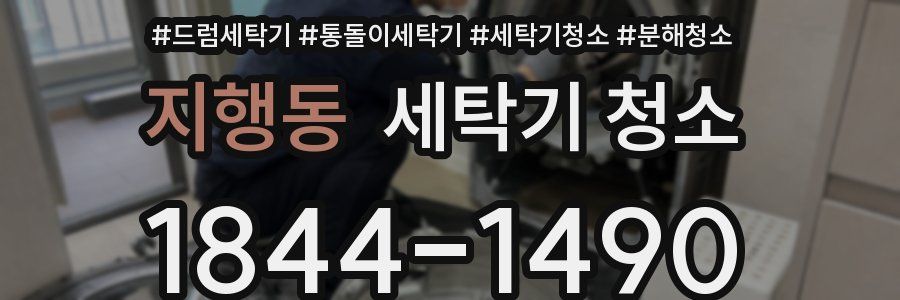 지행동 세탁기 청소
